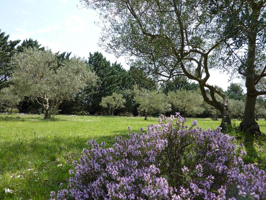 Puget Les Mazets Du Luberon Bed & Breakfast エクステリア 写真